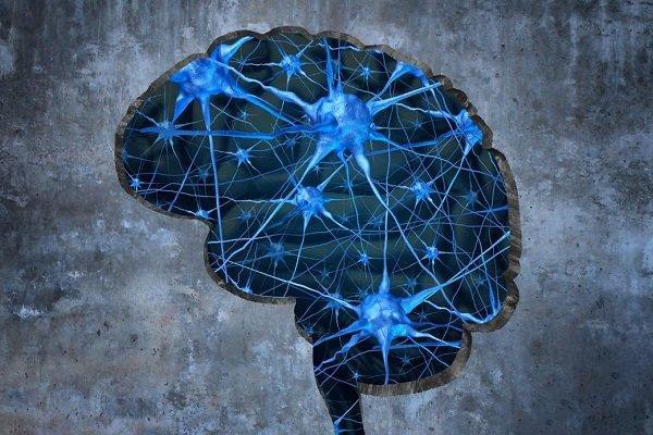 اپلیکیشن پیشگیری از آلزایمر سالمندان رونمایی می شود