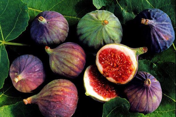 2.5 میلیون تومان آب در ساعت برای پرورش میوه بهشتی انجیر 2.5 میلیون تومان آب در ساعت برای پرورش میوه بهشتی انجیر